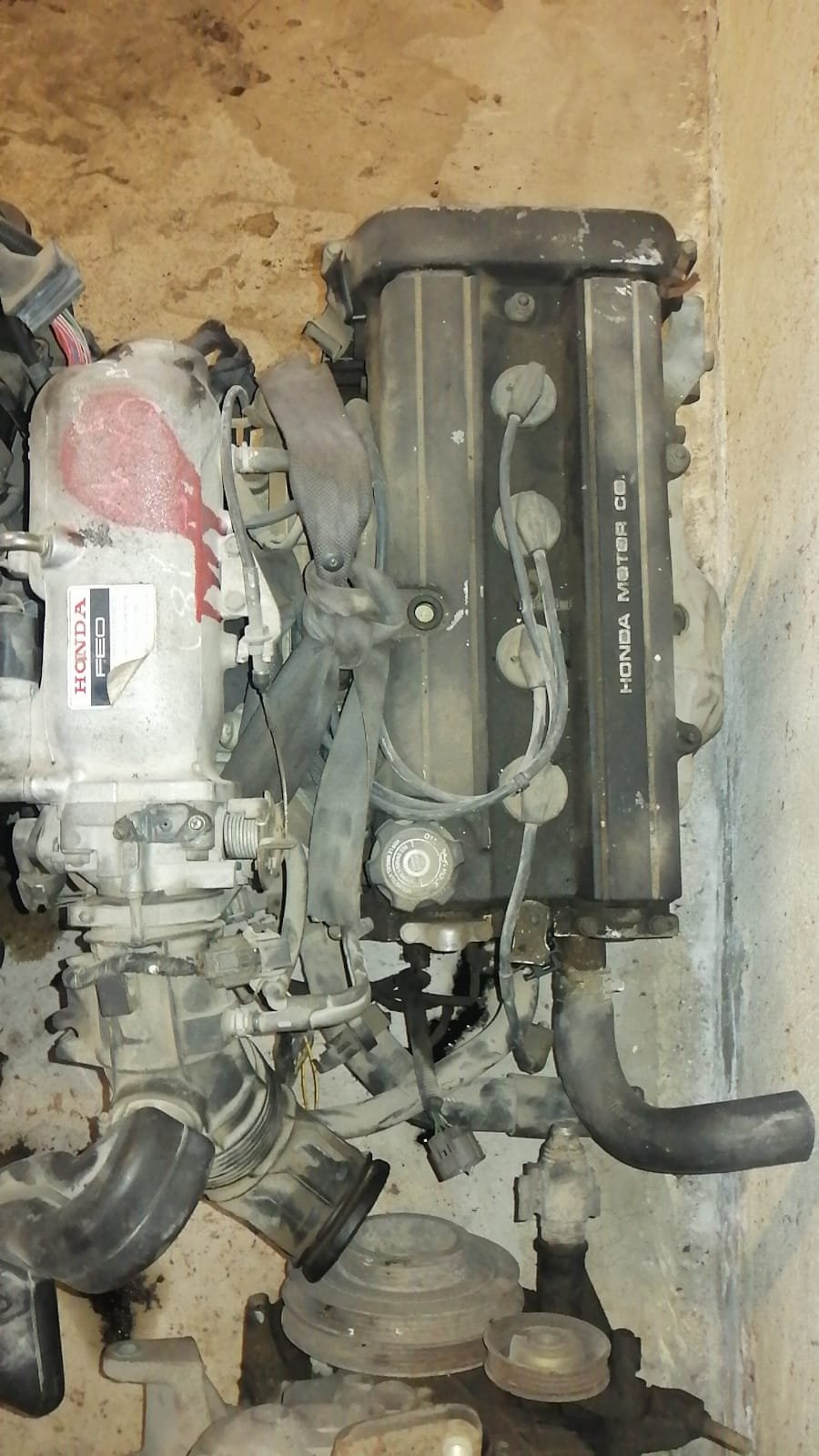 Honda accord двигатели